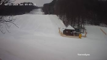 Воєводино 25 січня 2020 року, 2020-01-25 10:00