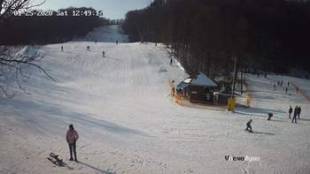 Воєводино 25 січня 2020 року, 2020-01-25 13:00