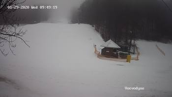 Воєводино 29 січня 2020 року, 2020-01-29 10:00