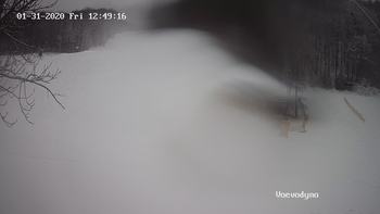Воєводино 31 січня 2020 року, 2020-01-31 13:00