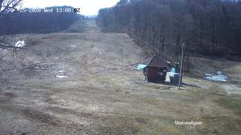 Воєводино 25 березня 2020 року, 2020-03-25 13:00