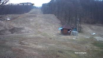 Воєводино 29 березня 2020 року, 2020-03-29 16:00