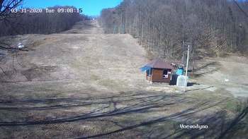 Воєводино 31 березня 2020 року, 2020-03-31 10:00