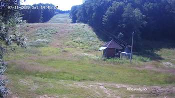 Воєводино 11 липня 2020 року, 2020-07-11 16:00