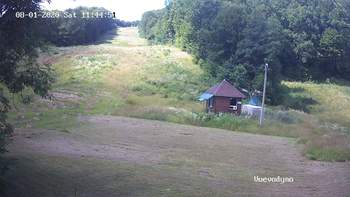 Воєводино 1 серпня 2020 року, 2020-08-01 13:00