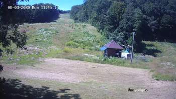 Воєводино 3 серпня 2020 року, 2020-08-03 13:00