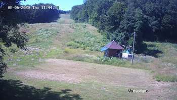 Воєводино 6 серпня 2020 року, 2020-08-06 13:00