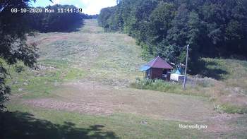 Воєводино 10 серпня 2020 року, 2020-08-10 13:00