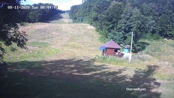 Воєводино 11 серпня 2020 року, 2020-08-11 10:00
