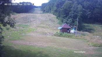 Воєводино 11 серпня 2020 року, 2020-08-11 13:00