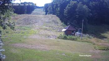 Воєводино 11 серпня 2020 року, 2020-08-11 16:00