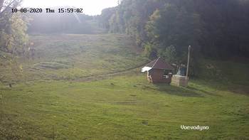 Воєводино 8 жовтня 2020 року, 2020-10-08 16:00