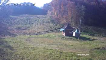 Воєводино 8 листопада 2020 року, 2020-11-08 13:00