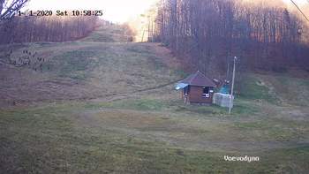 Воєводино 21 листопада 2020 року, 2020-11-21 10:00