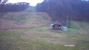 Воєводино 25 листопада 2020 року, 2020-11-25 10:00