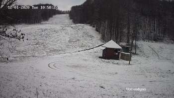 Воєводино 1 грудня 2020 року, 2020-12-01 10:00