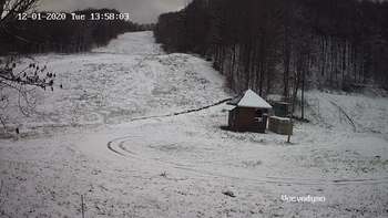 Воєводино 1 грудня 2020 року, 2020-12-01 13:00