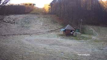 Воєводино 7 грудня 2020 року, 2020-12-07 10:00