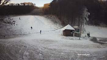Воєводино 11 січня 2021 року, 2021-01-11 10:00
