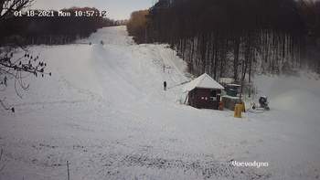 Воєводино 18 січня 2021 року, 2021-01-18 10:00