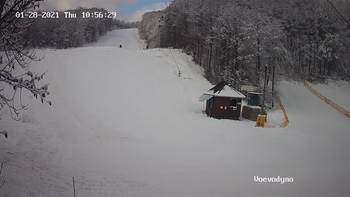 Воєводино 28 січня 2021 року, 2021-01-28 10:00