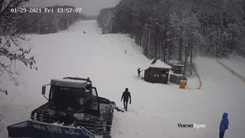 Воєводино 29 січня 2021 року, 2021-01-29 13:00