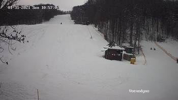 Воєводино 31 січня 2021 року, 2021-01-31 10:00