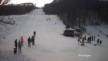 Воєводино 31 січня 2021 року, 2021-01-31 16:00