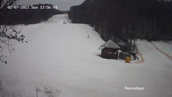 Воєводино 7 лютого 2021 року, 2021-02-07 13:00