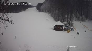Воєводино 11 лютого 2021 року, 2021-02-11 13:00