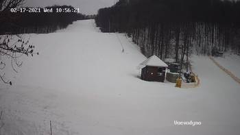 Воєводино 17 лютого 2021 року, 2021-02-17 10:00