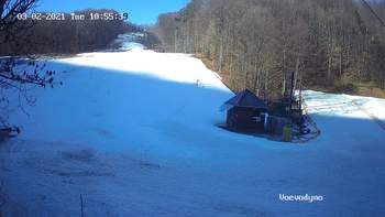 Воєводино 2 березня 2021 року, 2021-03-02 10:00