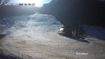 Воєводино 2 березня 2021 року, 2021-03-02 16:00