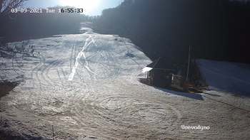 Воєводино 9 березня 2021 року, 2021-03-09 16:00