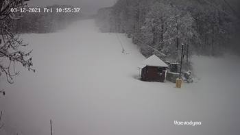 Воєводино 12 березня 2021 року, 2021-03-12 10:00