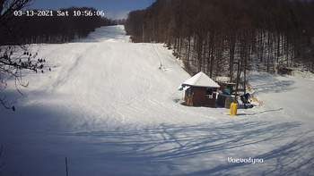 Воєводино 13 березня 2021 року, 2021-03-13 10:00