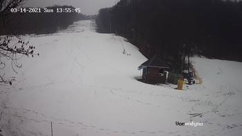 Воєводино 14 березня 2021 року, 2021-03-14 13:00