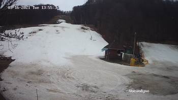 Воєводино 16 березня 2021 року, 2021-03-16 13:00