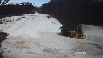 Воєводино 18 березня 2021 року, 2021-03-18 13:00