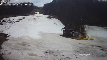 Воєводино 19 березня 2021 року, 2021-03-19 16:00