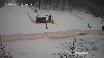 Воєводино 20 січня 2022 року, 2022-01-20 13:00