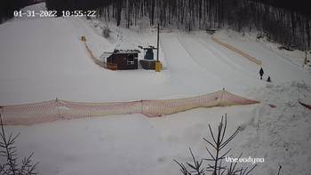 Воєводино 31 січня 2022 року, 2022-01-31 10:00