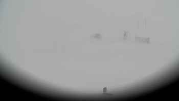 Драгобрат 22 грудня 2018 року, 2018-12-22 13:00
