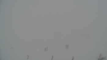 Драгобрат 2 січня 2019 року, 2019-01-02 16:00