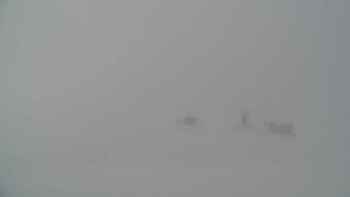 Драгобрат 8 січня 2019 року, 2019-01-08 10:00