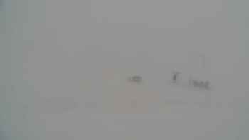 Драгобрат 8 січня 2019 року, 2019-01-08 16:00