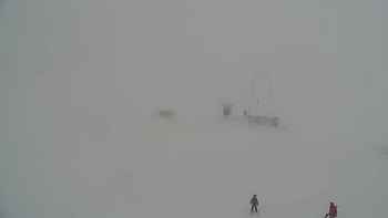 Драгобрат 23 січня 2019 року, 2019-01-23 13:00