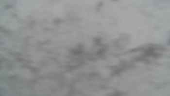 Драгобрат 6 жовтня 2019 року, 2019-10-06 10:00