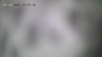 Драгобрат 10 січня 2022 року, 2022-01-10 16:00