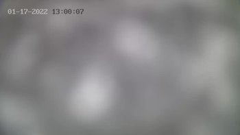 Драгобрат 17 січня 2022 року, 2022-01-17 13:00